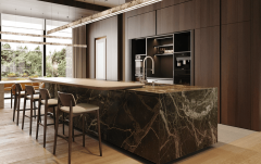 <b>为拆修师傅供给了展现本人才调的</b>