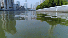 房往往是一笔庞大的承担